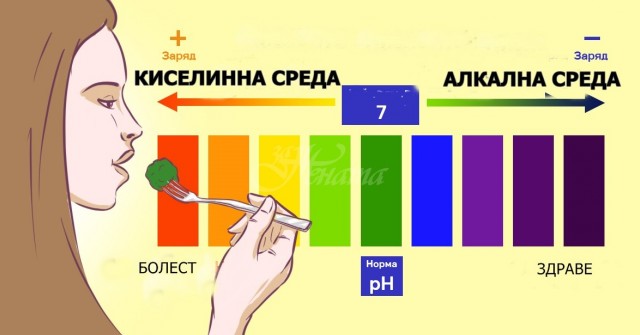 22 високо алкални храни, които ще ви предпазят от рак, диабет и други заболявания