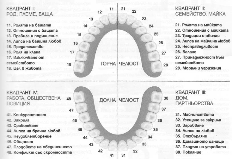 Зъбите са като бушони свързани с енергийните потоци в нашето тяло